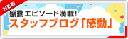 スタッフブログ