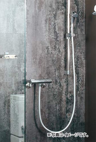 浴室用蛇口 Ren[壁][シャワー専用][サーモスタット混合水栓][スパウトなし][寒冷地]