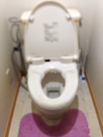 トイレ・止水栓交換工事（トイレ床張替え工事含む）　北海道石狩市　XCH1101WS-sale - Before