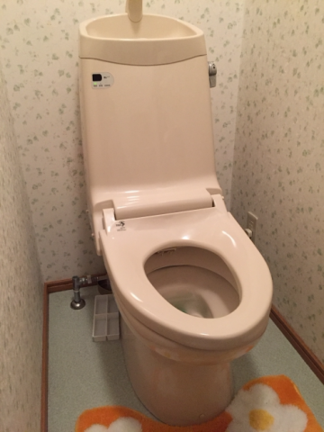トイレ交換工事　岐阜県揖斐郡池田町　CW-KA21QC-BN8 - Before