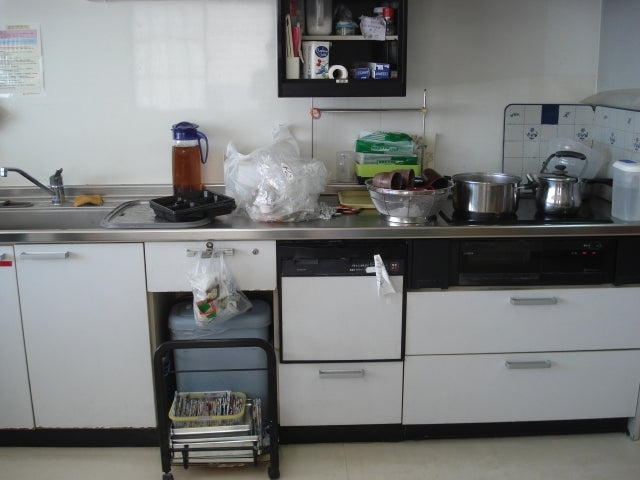 ビルトイン食洗機交換工事　大阪府泉南市　RKW-403C-sale - Before