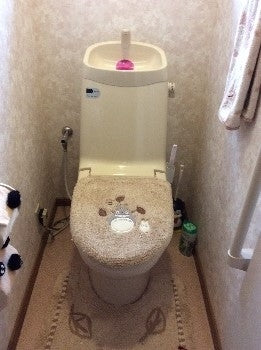 トイレ交換工事　愛知県一宮市　C-180S-DT-4840 - Before
