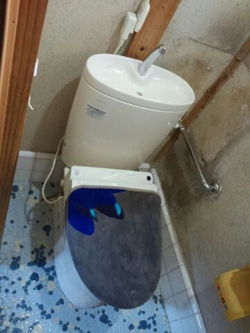 トイレ交換工事　神奈川県横須賀市　CS330BM-SH331BA-C - After