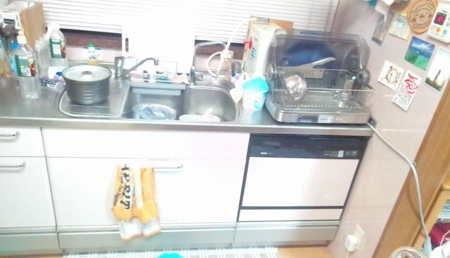 ビルトイン食洗機交換工事　滋賀県蒲生郡竜王町　NP-60MS8S - Before