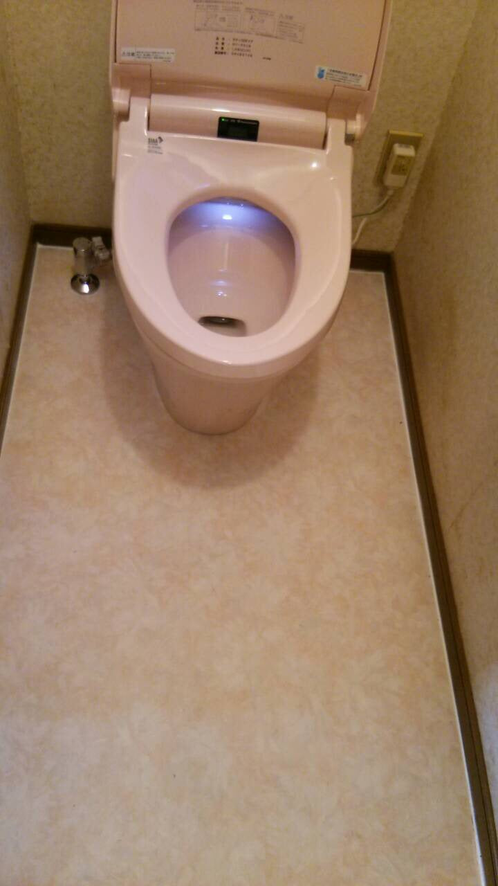 トイレ交換工事/床CF張替え共　鹿児島県鹿児島市　D-S516S - After