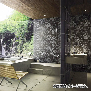 浴室用蛇口 EDDIESシリーズ[壁][サーモシャワー混合水栓][湯水芯90mm][一般地]