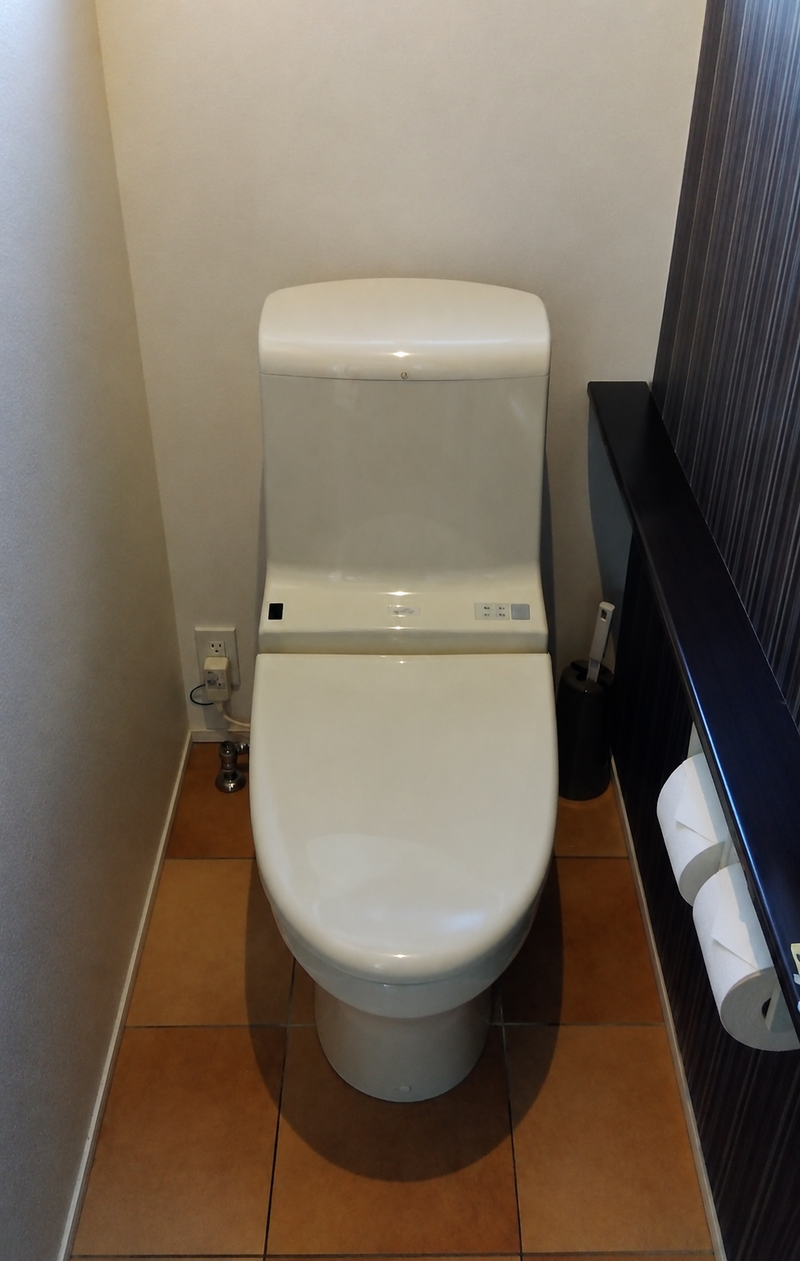 250885　トイレ取替工事　静岡県静岡市　CES9150-NW1 - Before