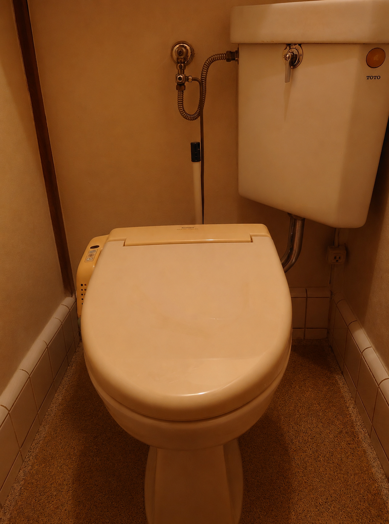 251258　トイレ取替工事　千葉県市川市　CS232BM-SH232BA-NW1 - Before