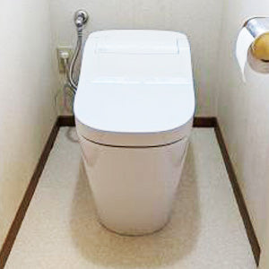 トイレ交換工事の施工事例