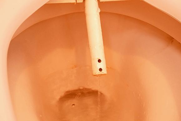 ウォシュレットのノズル部分の掃除方法を解説 ウォシュレットの取替 交換工事なら住設ドットコム