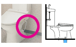 排水管の位置 床排水
