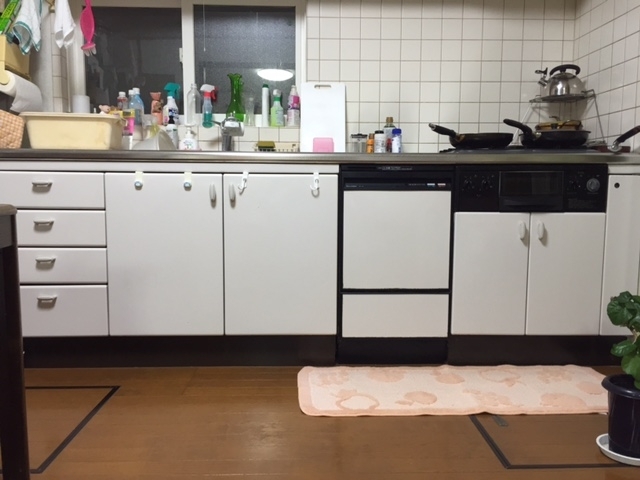 ビルトイン食洗機　新潟県阿賀野市　DSP-1200