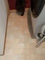 20206_9_thumbnail 20206_9_thumbnail