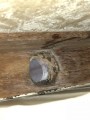 25846_2 蛇口取替工事 埼玉県さいたま市西区 183-192