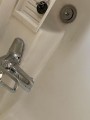 32785_2 蛇口交換工事 東京都府中市 TLHG30EGR